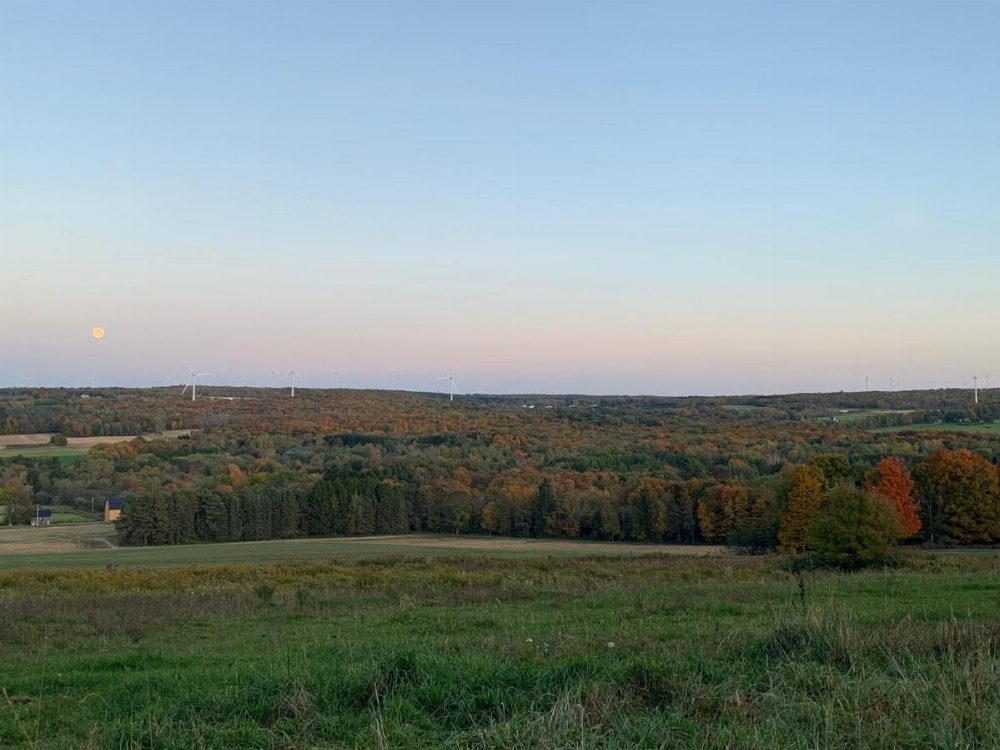 Tentrr - A Hilltop View Campsite Image 13