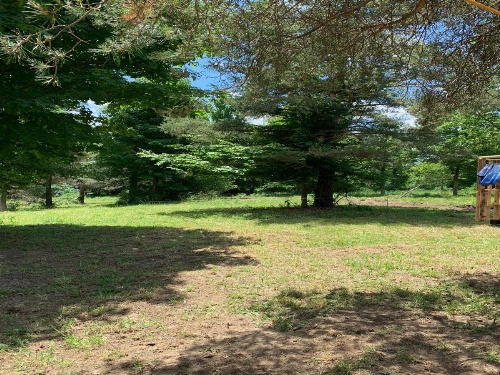 Tentrr - A Hilltop View Campsite image 5