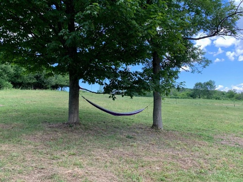 Tentrr - A Hilltop View Campsite image 7